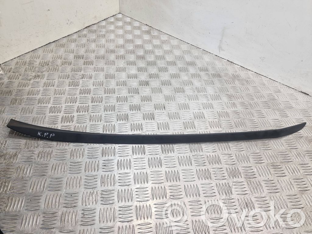 Ford Focus Windshield trim 