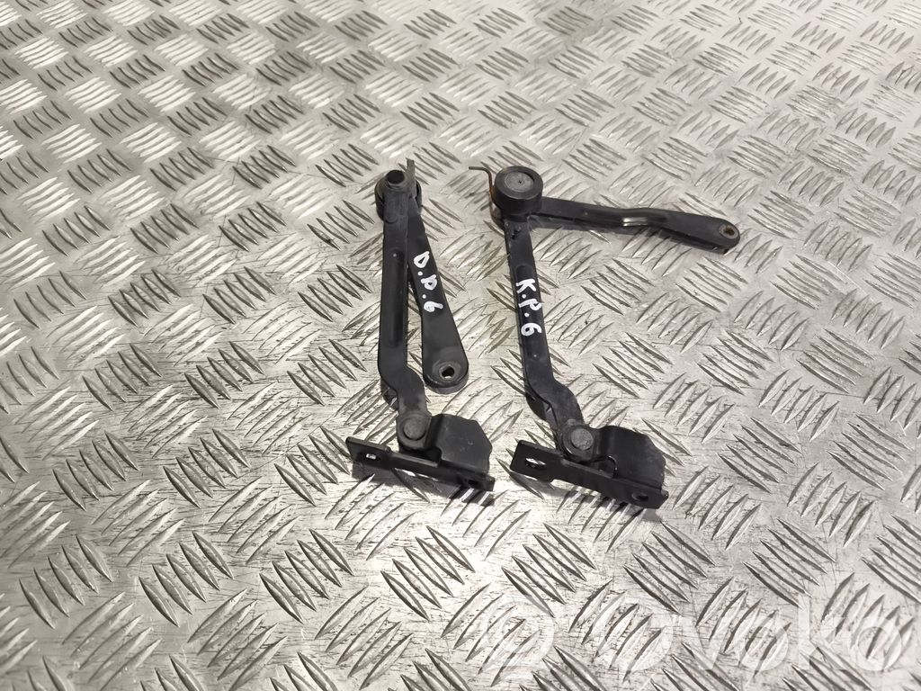 Tailgate/trunk/boot hinge   30674751