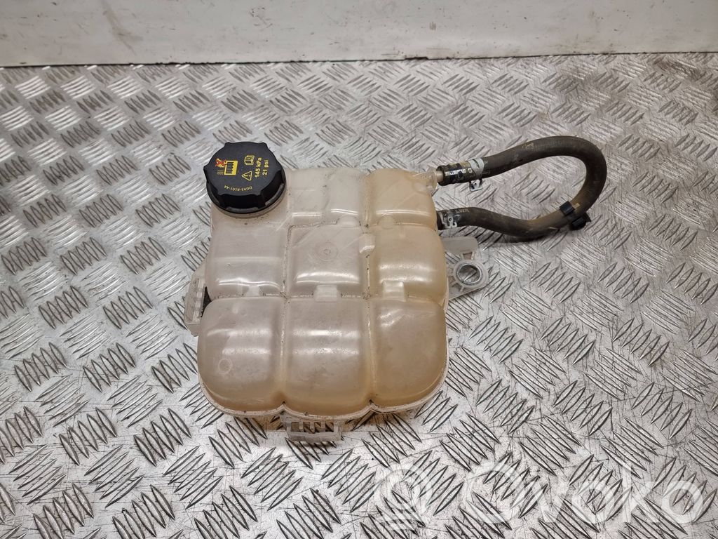 Ford Focus Aušinimo skysčio išsiplėtimo bakelis 