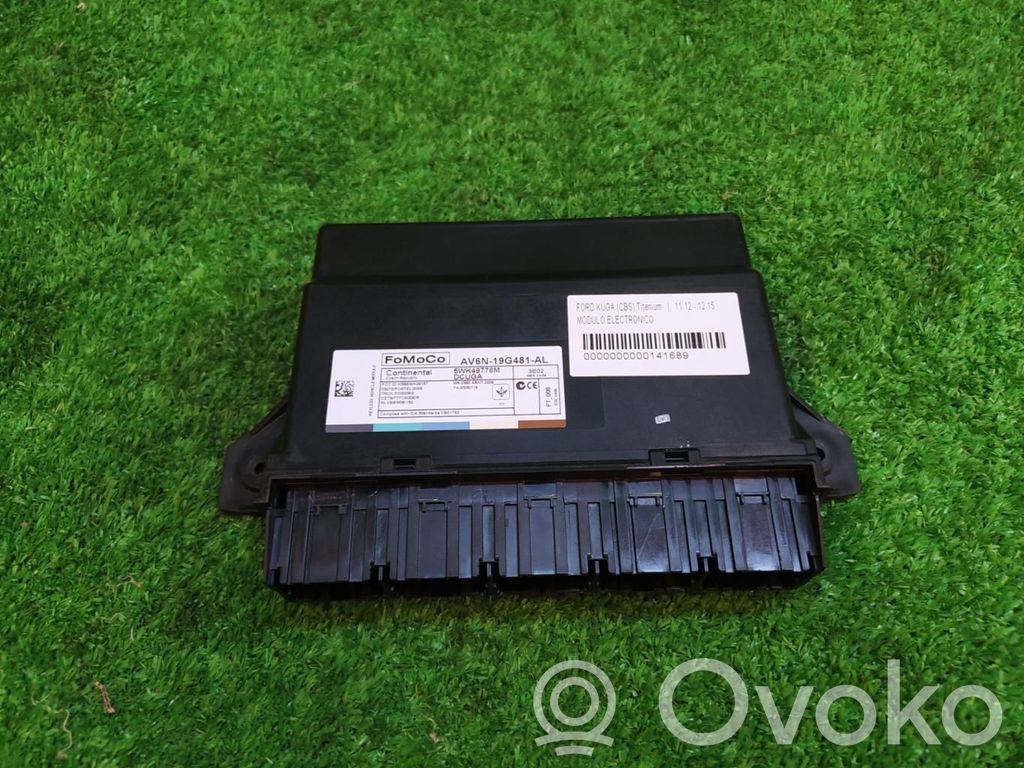 Engine control unit/module   AV6N19G481AL