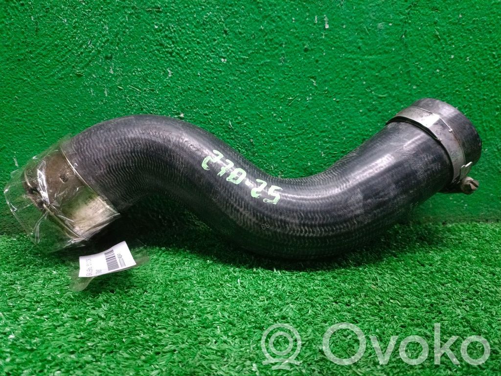 Nissan Juke I F15 Altra parte del vano motore 