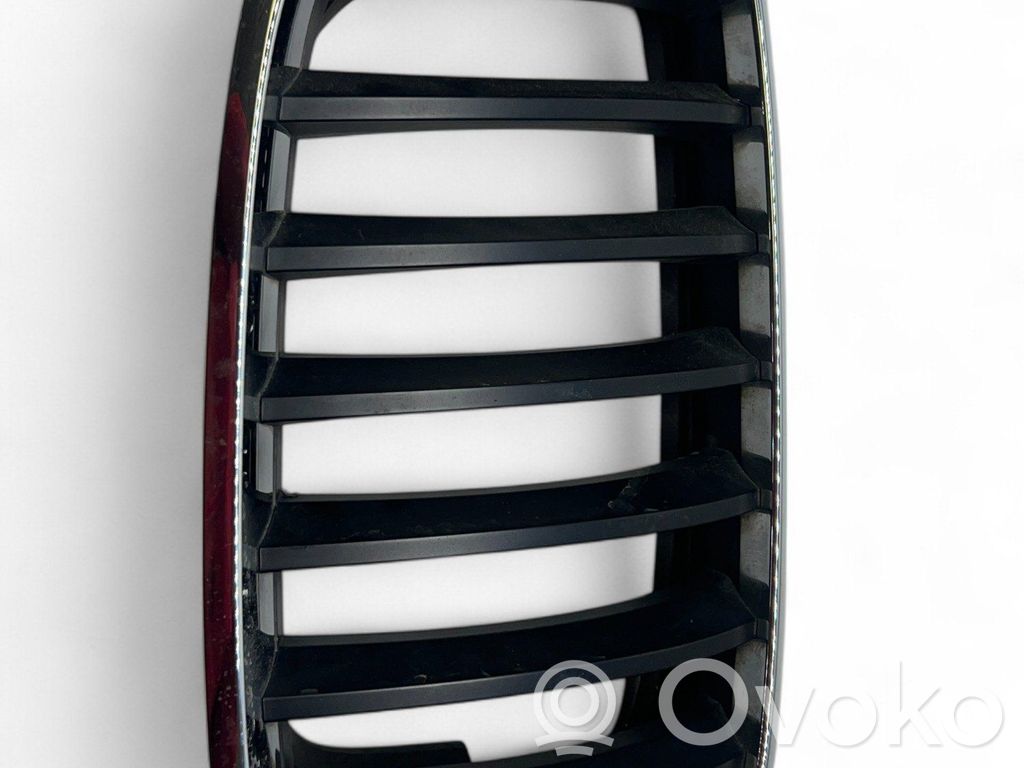 Front grill   7171396
