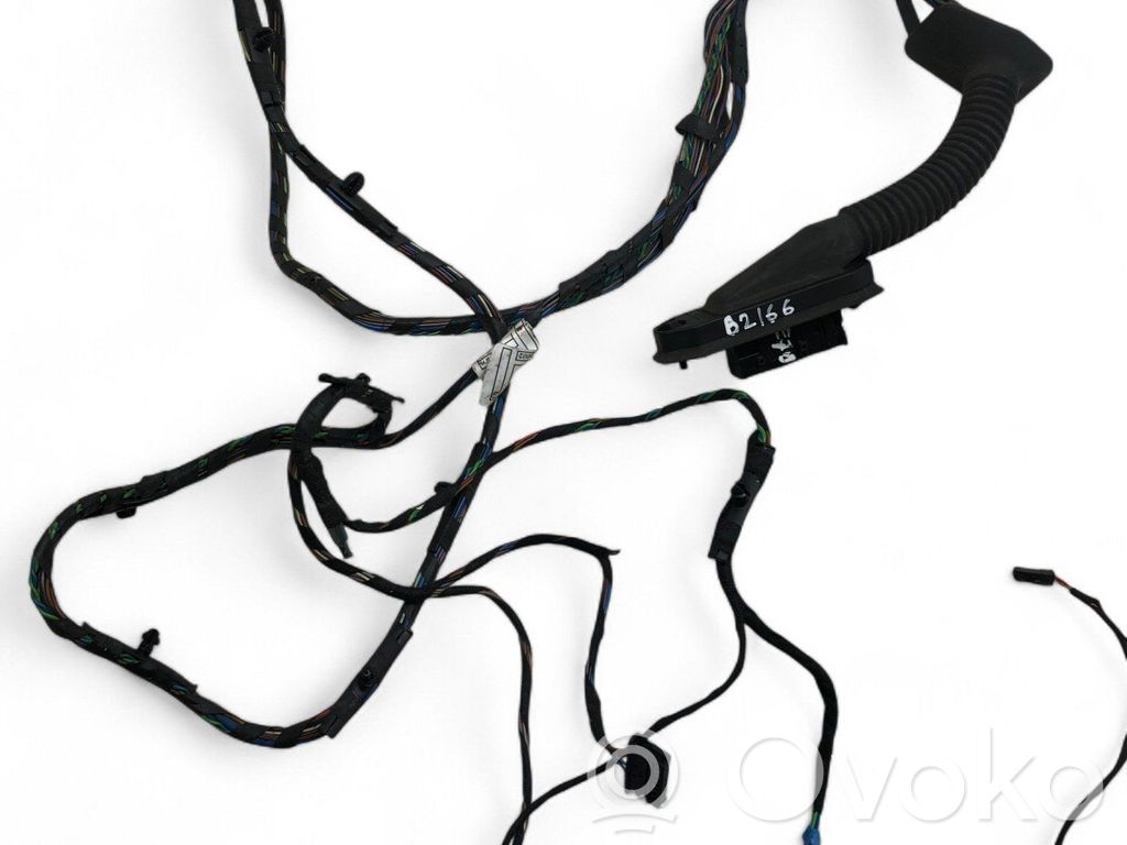 BMW X5 E70 Cableado de puerta trasera 