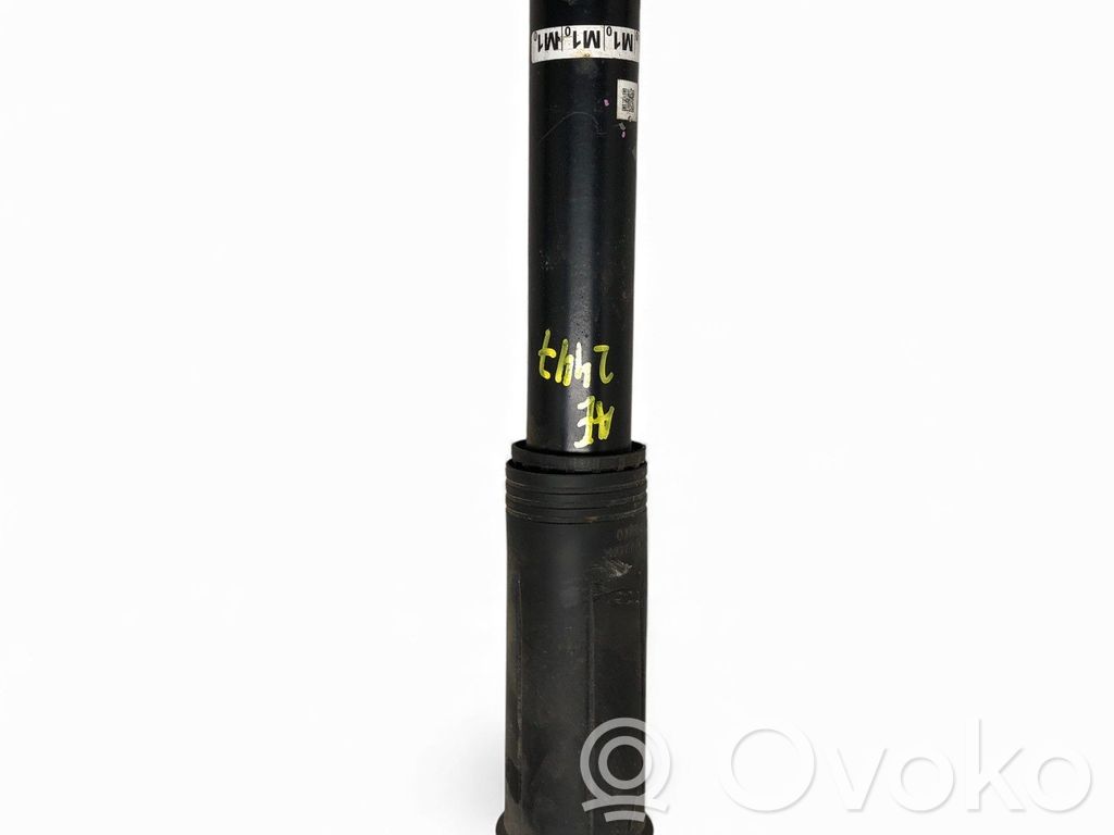 Amortyzator tylny   4853002M10