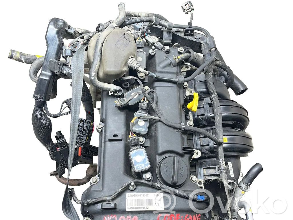 KIA Optima Motore 