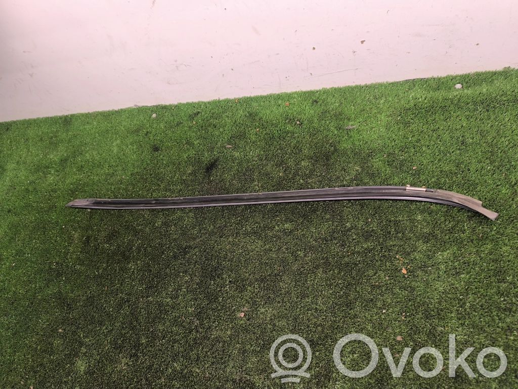 BMW 3 E90 E91 Front door glass trim molding 