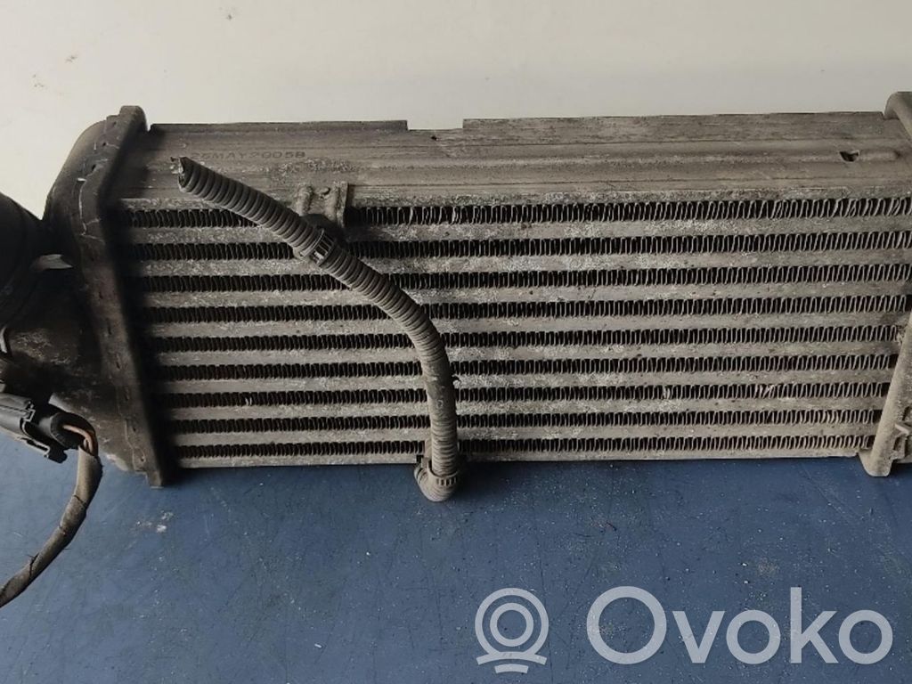 Radiador intercooler