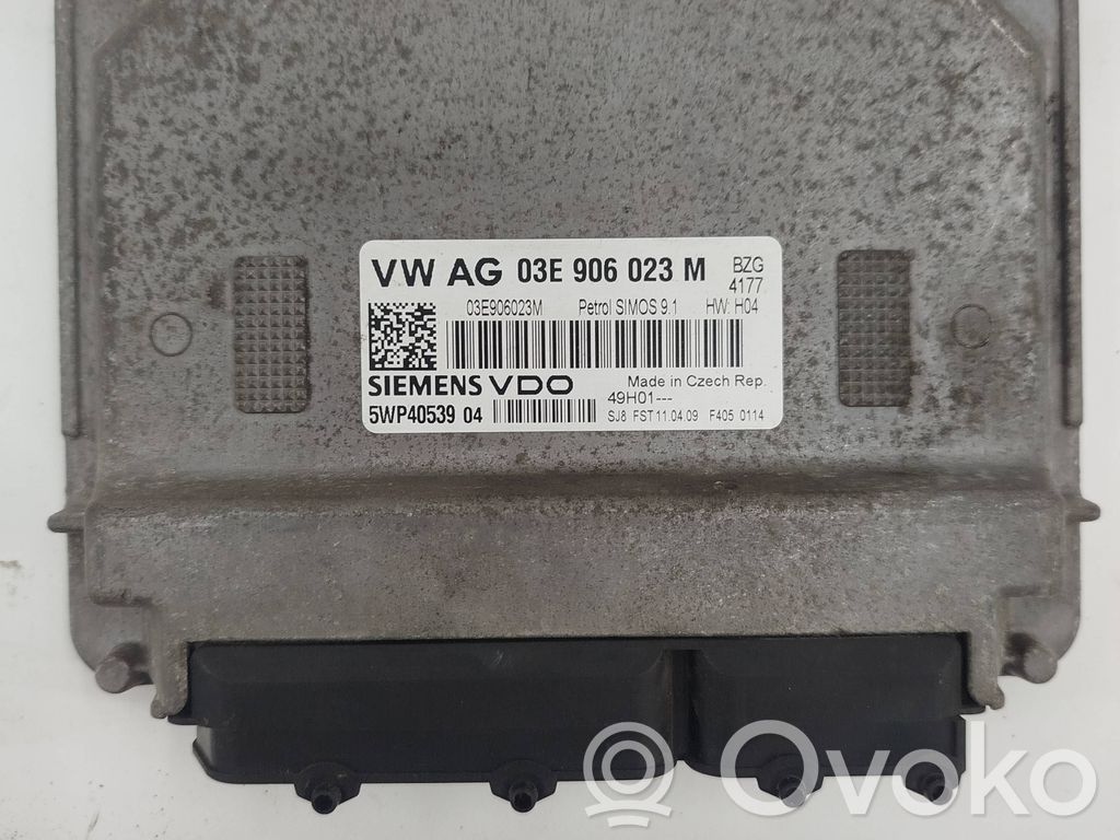 Seat Ibiza III (6L) Engine control unit/module 