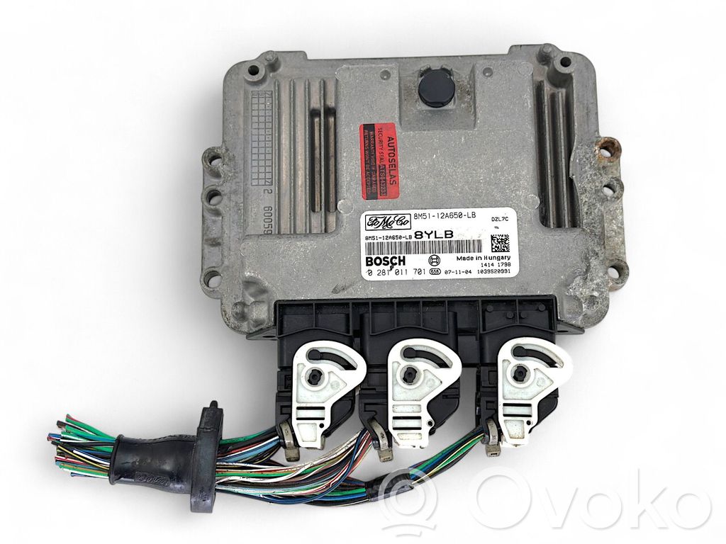 Ford Focus Engine control unit/module 