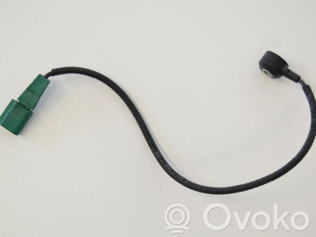 Volkswagen Tiguan Otros dispositivos 