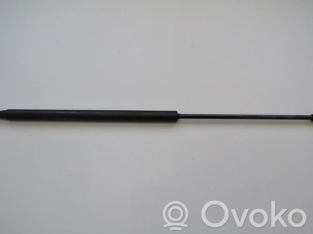 Tailgate/trunk strut/damper   7129215