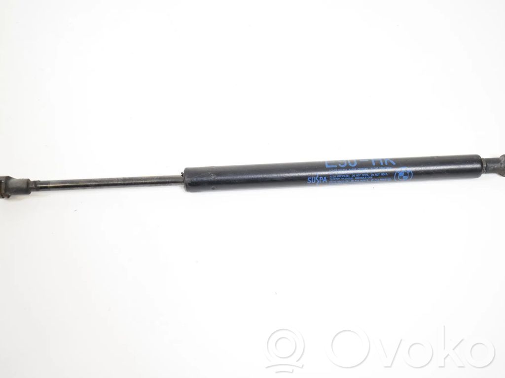 Tailgate/trunk strut/damper   4365788