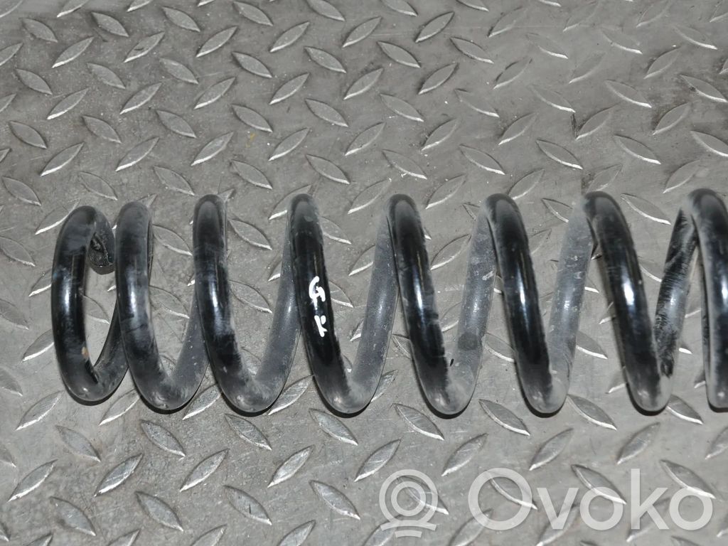 Rear coil spring