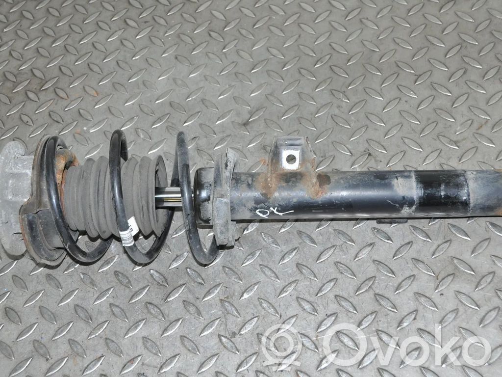 Stoßdämpfer vorne   6796439