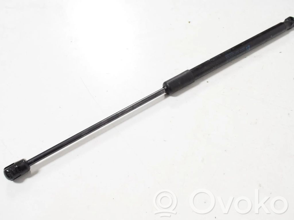 Audi A4 S4 B9 8W Amortiguador/puntal del maletero/compartimento de carga 
