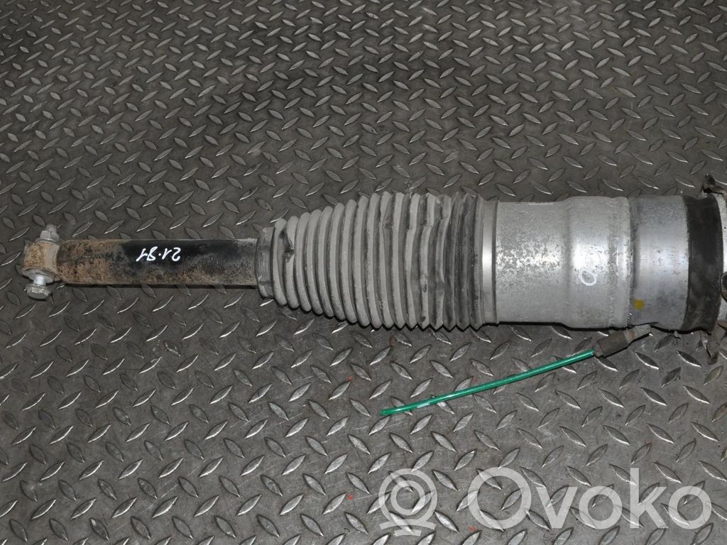 Stoßdämpfer Luftfederung   600635307A