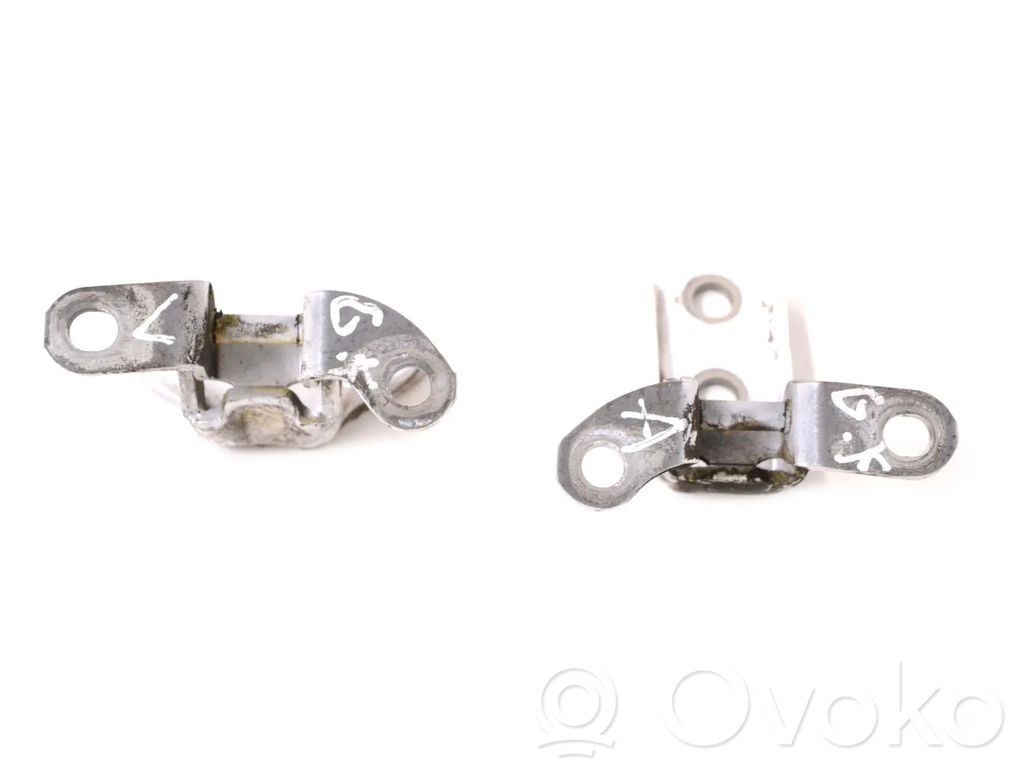 Rear door lower hinge