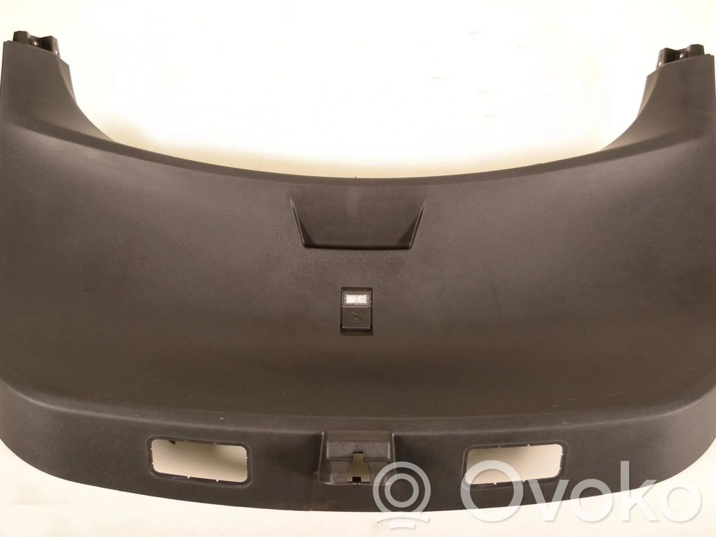 Tailgate trim   100923800B