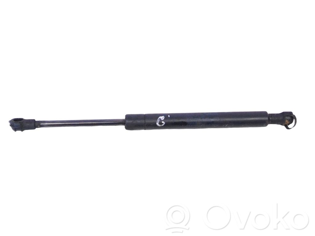 Tailgate/trunk strut/damper   7016186