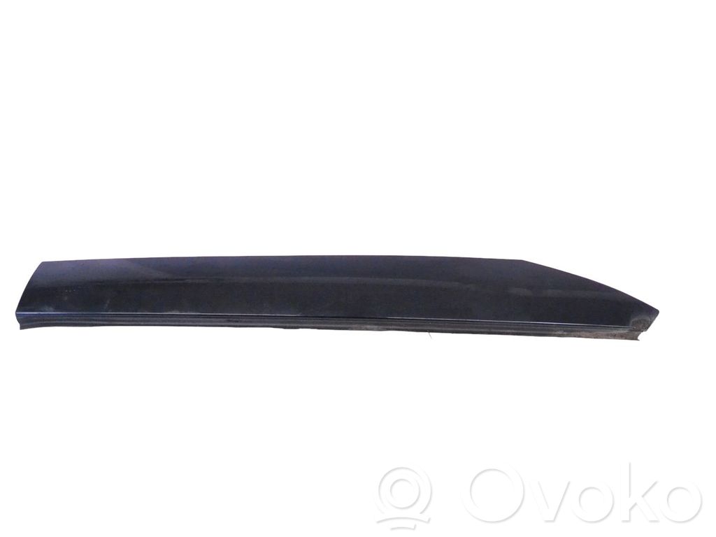 Windshield trim   7197819