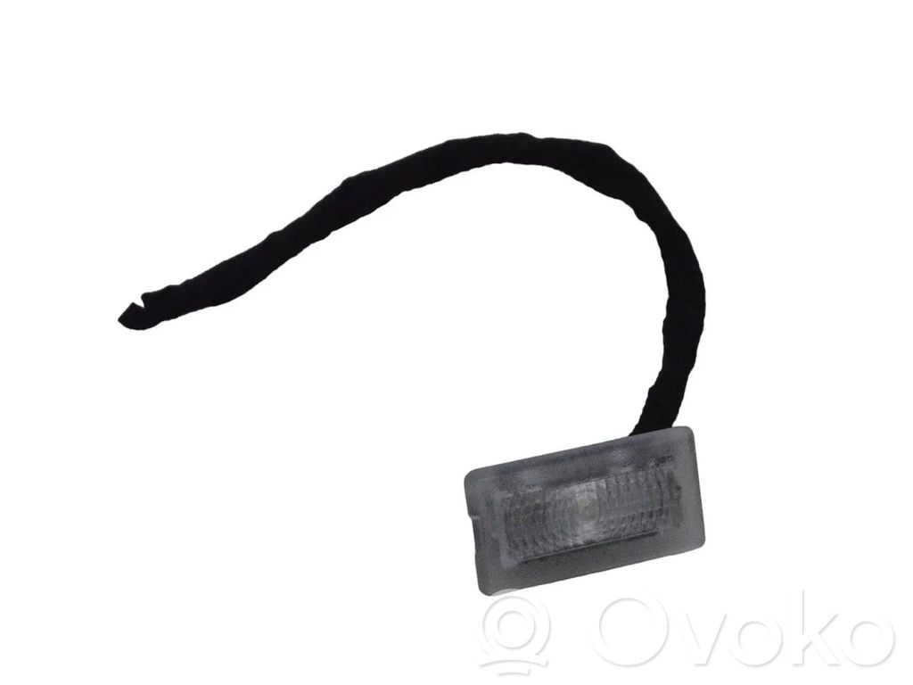 Infiniti M Y51 Front seat light 