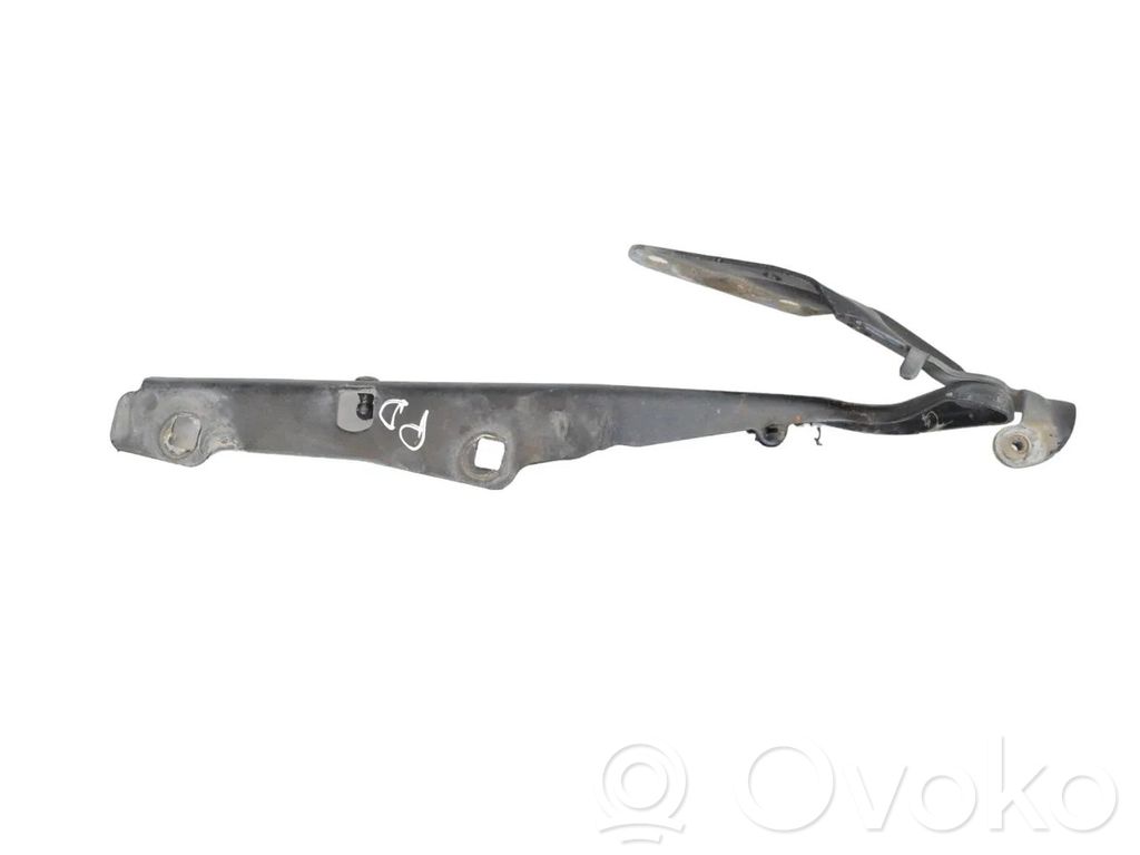 Dodge RAM 1500 DS Engine bonnet/hood hinges 