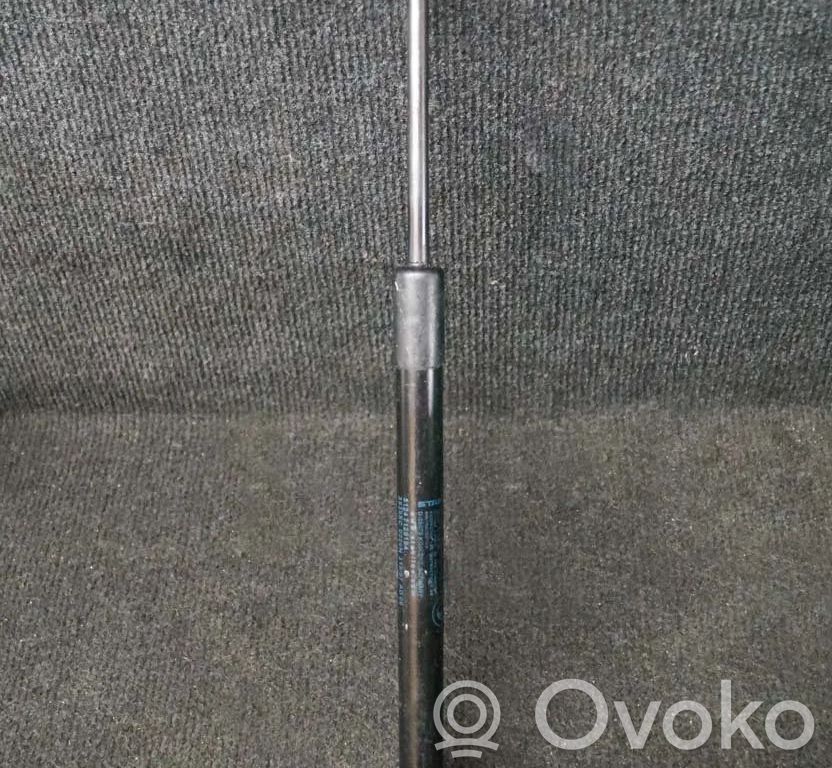 Tailgate/trunk strut/damper   7129194