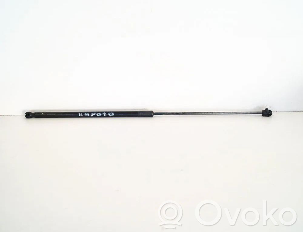 Amortizor capotă motor   13252173