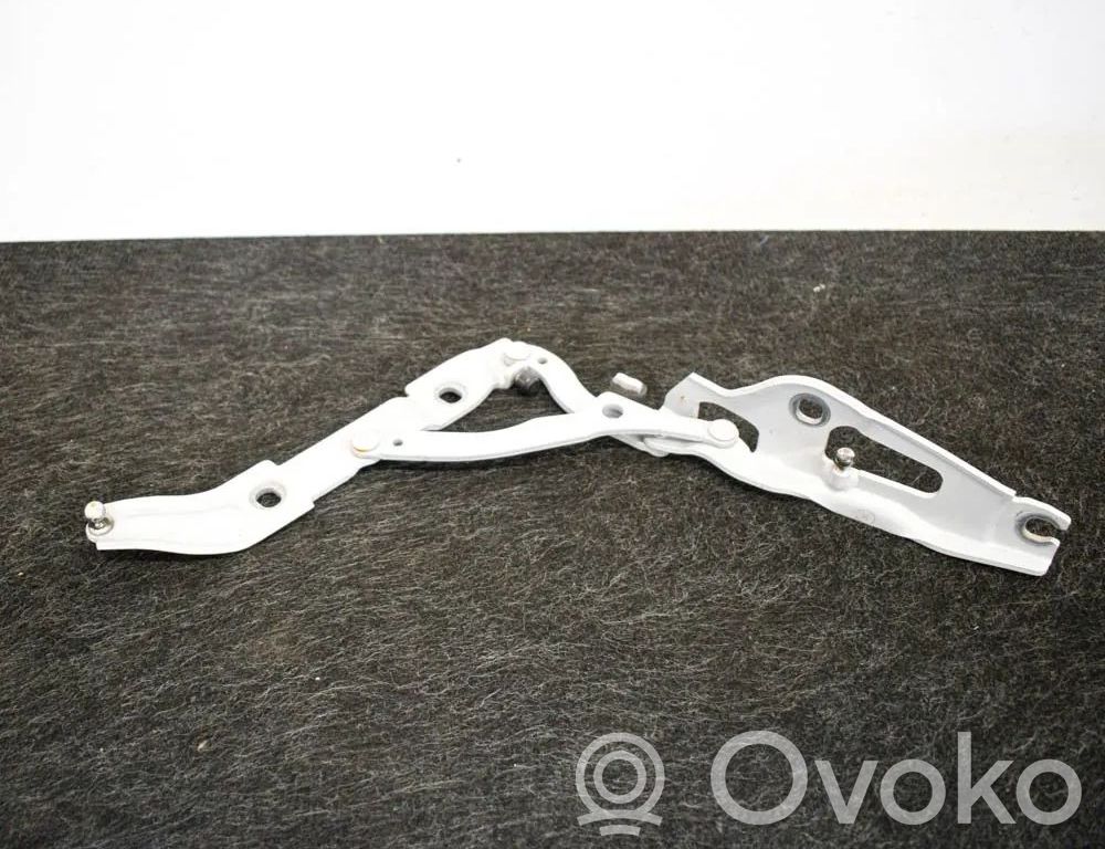 BMW 3 E90 E91 Cerniera portellone posteriore/bagagliaio 