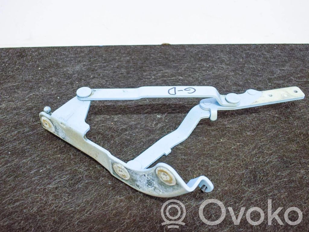 Fiat 500 Tailgate/trunk/boot hinge 