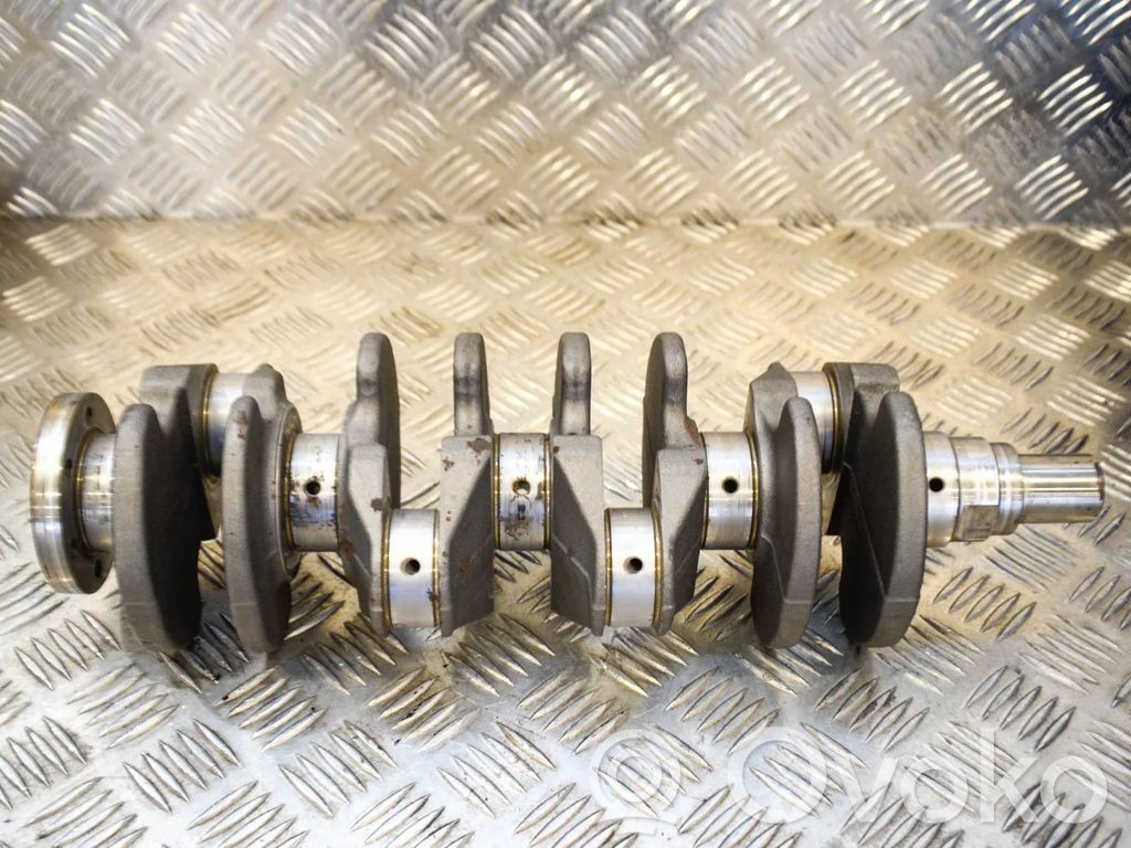 Crankshaft   9800993080