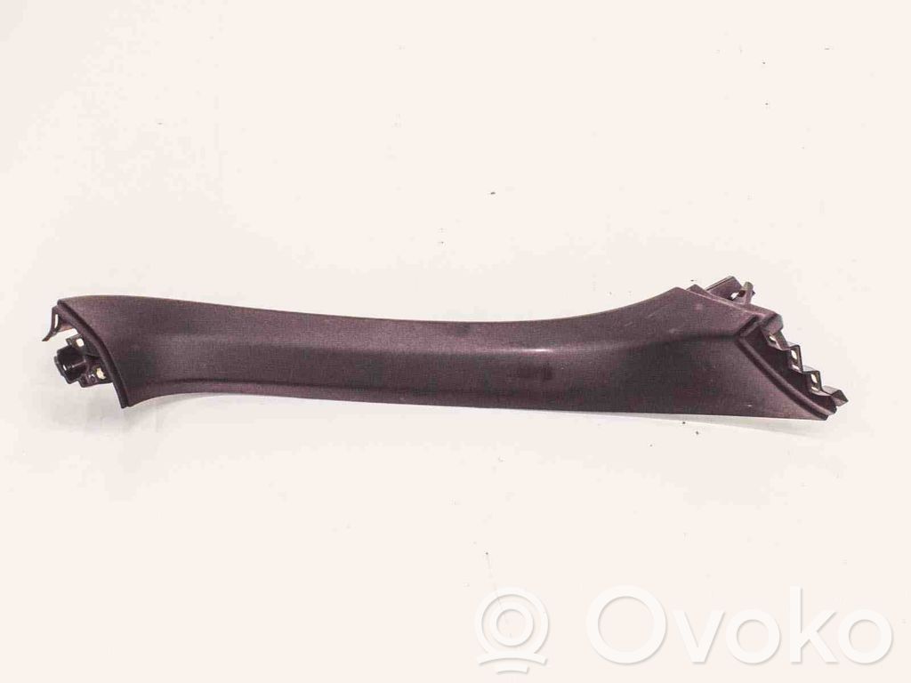Tailgate trim   103790500D,103790400E
