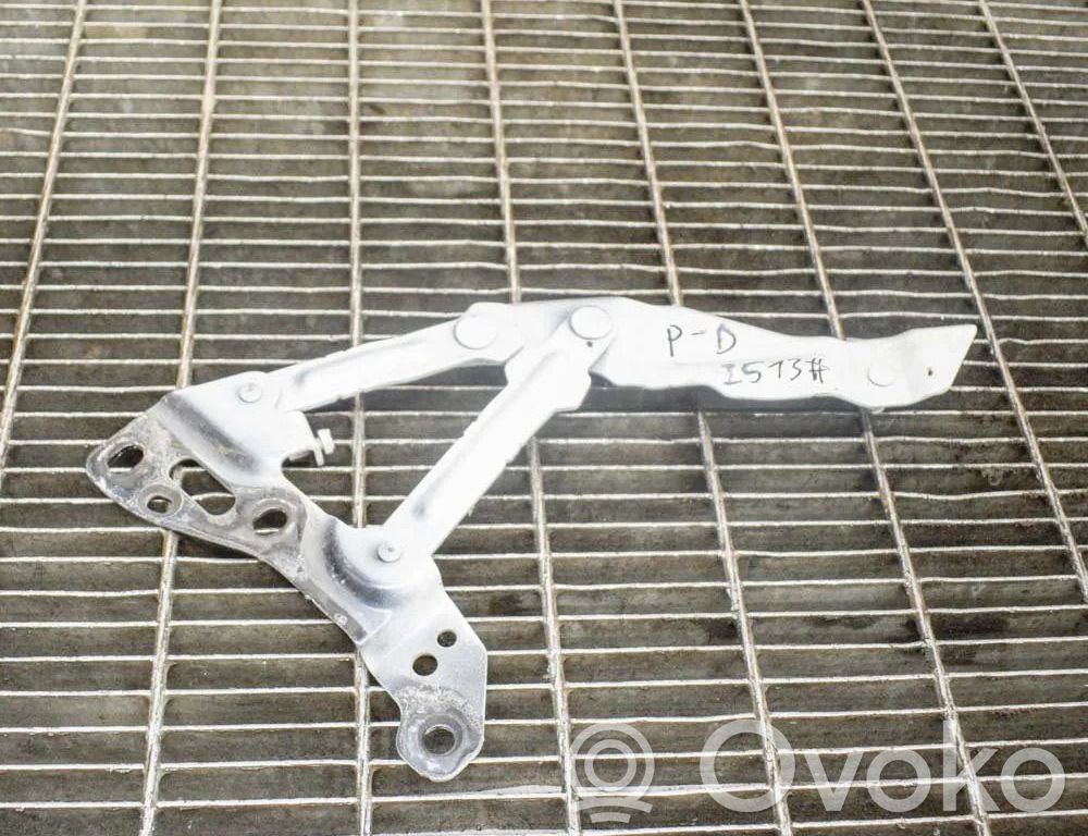 Tesla Model X Dzinēja pārsega eņģe (-es) 