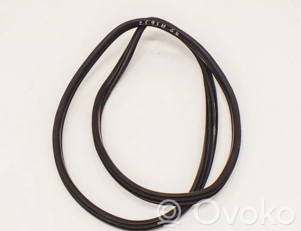 BMW X1 F48 F49 Gummidichtung Tür hinten 