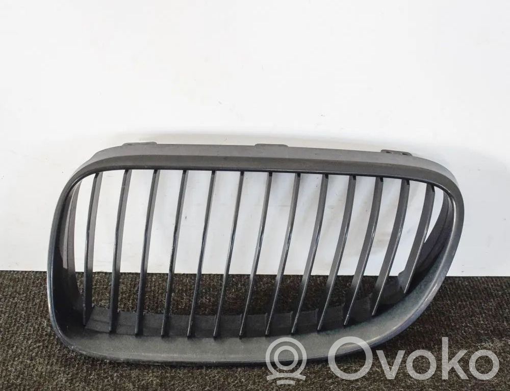 BMW 5 F10 F11 Front grill 