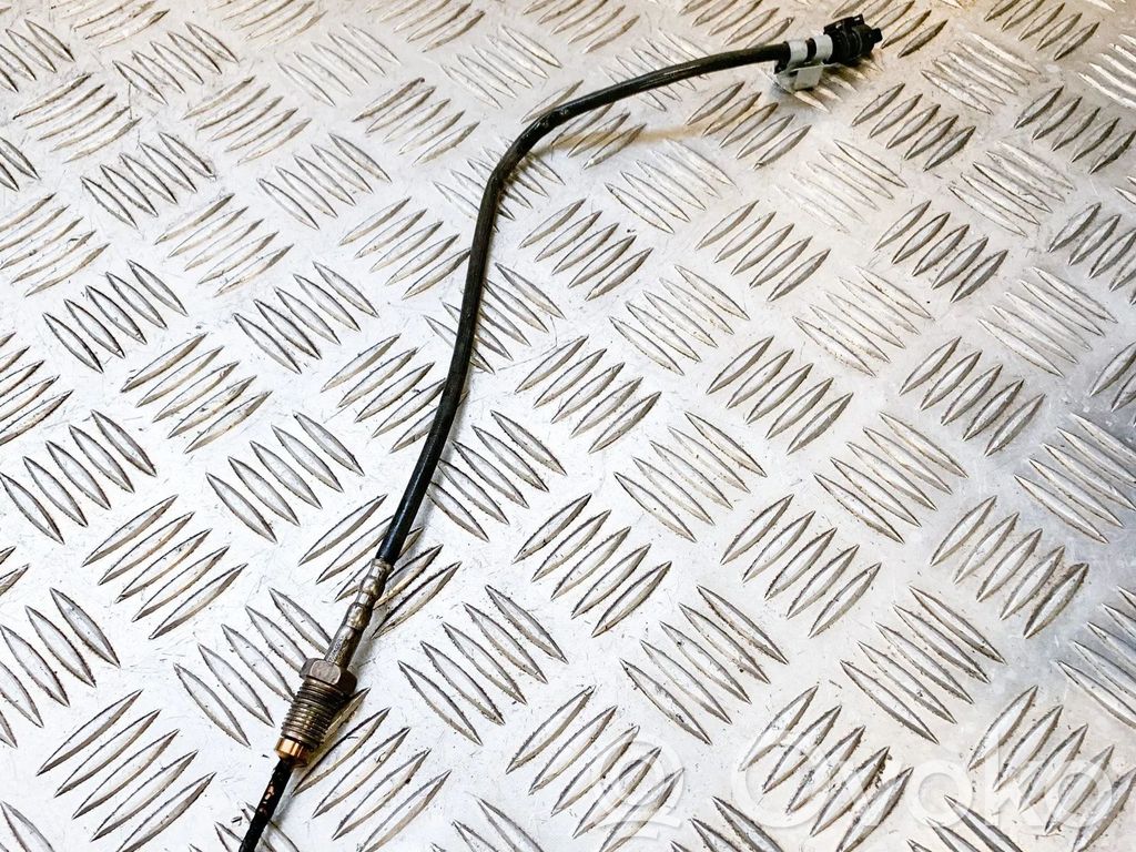 BMW X1 E84 Oil temperature sensor 
