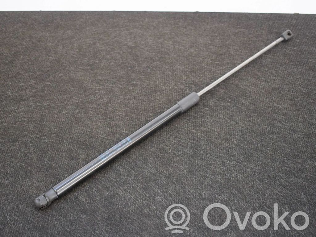 Tailgate/trunk strut/damper   BM51A406A10AE