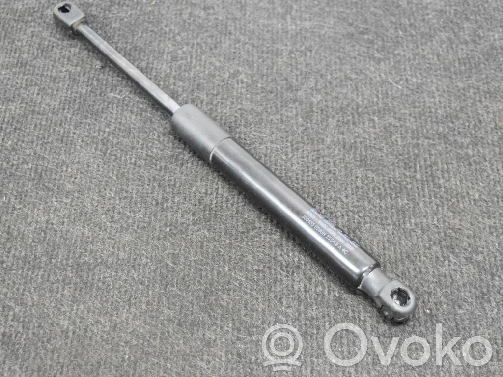 Tesla Model 3 Tailgate/trunk strut/damper 