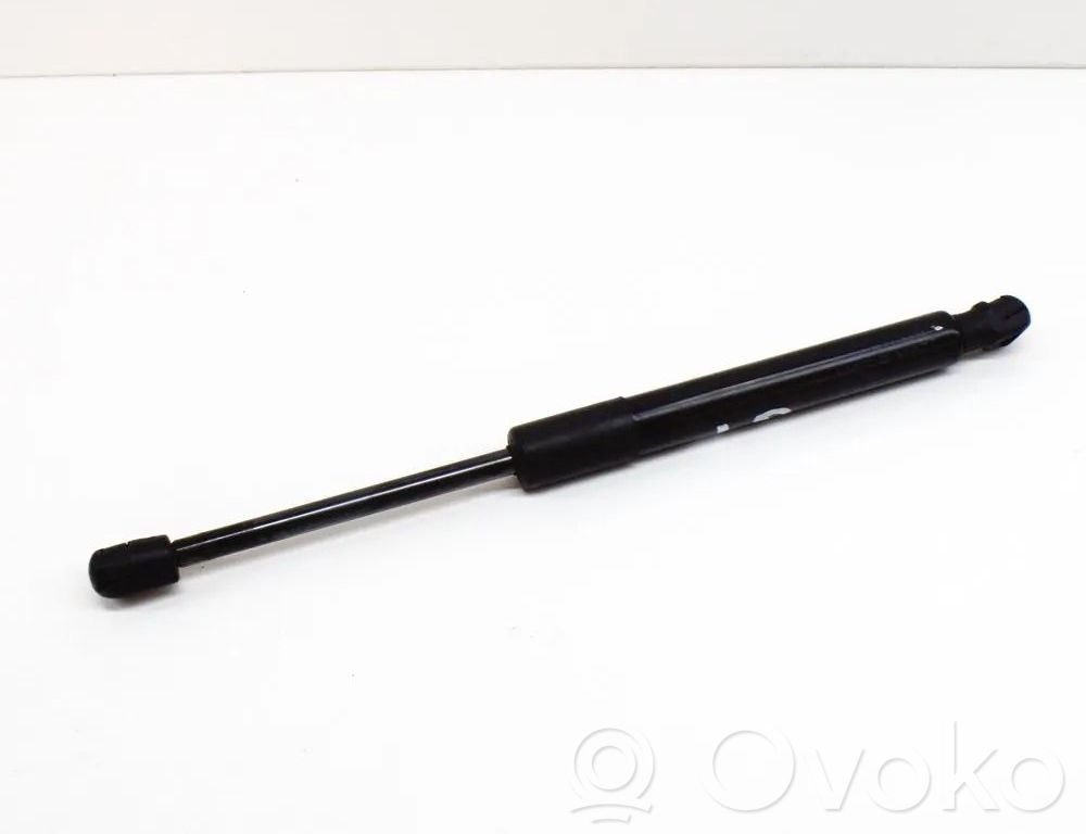 Tesla Model 3 Tailgate/trunk strut/damper 