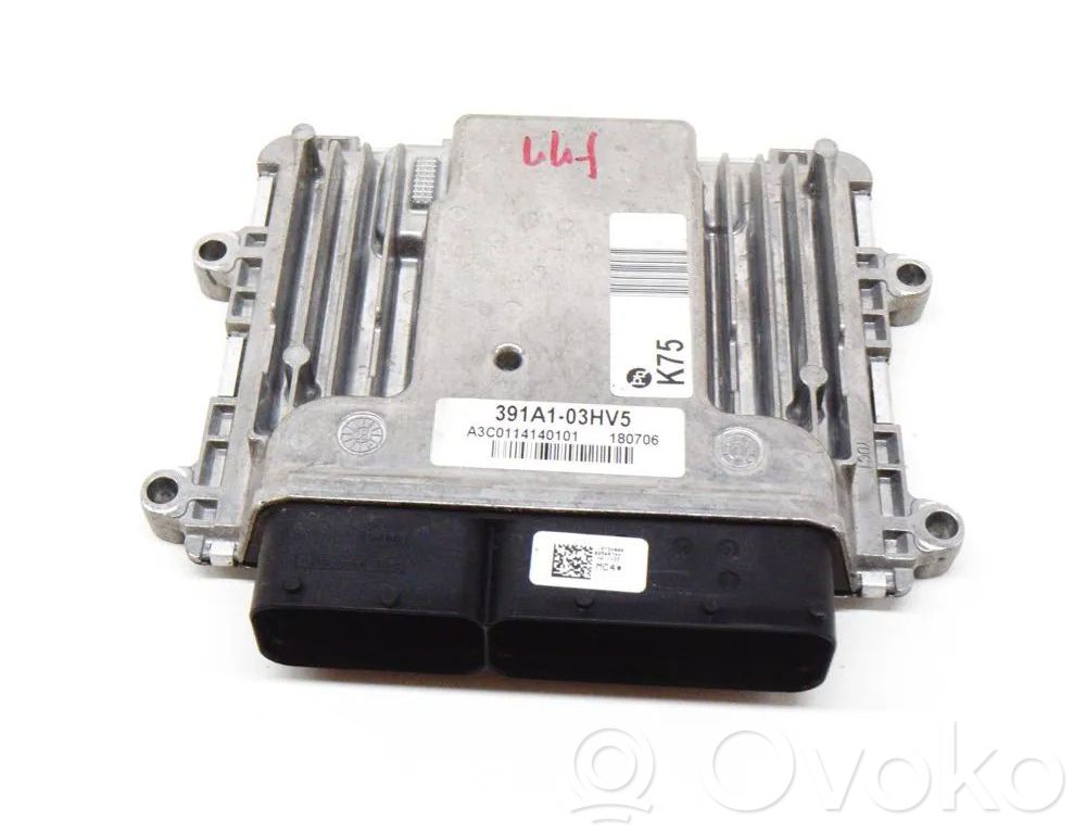 Hyundai Ioniq Engine control unit/module 