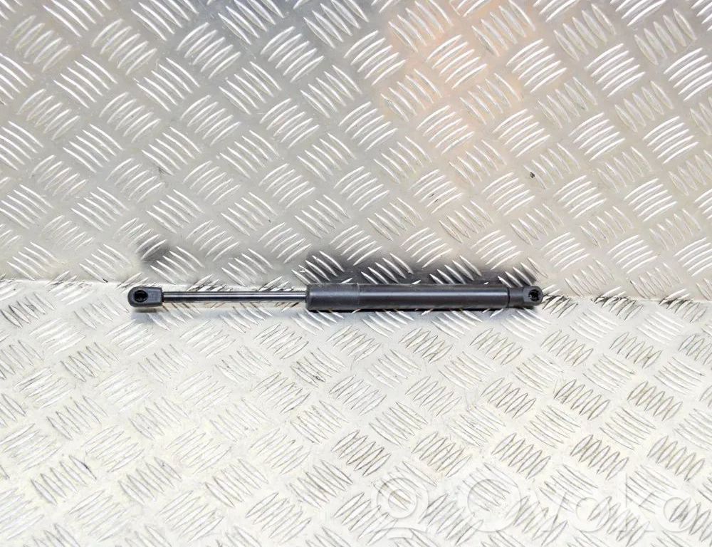 Tesla Model 3 Tailgate/trunk strut/damper 