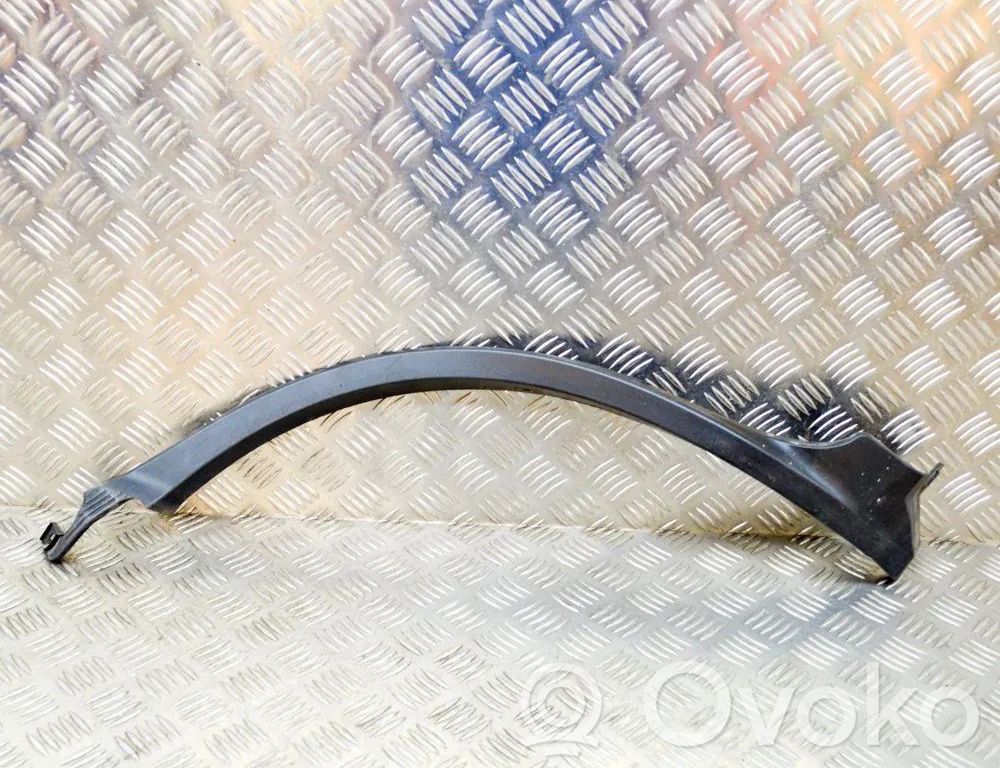 Lexus NX Rivestimento parafango (modanatura) 
