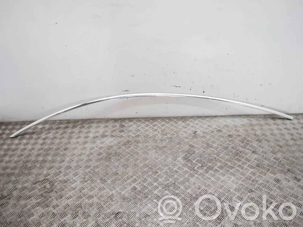 Tesla Model 3 Katon muotolistan suoja