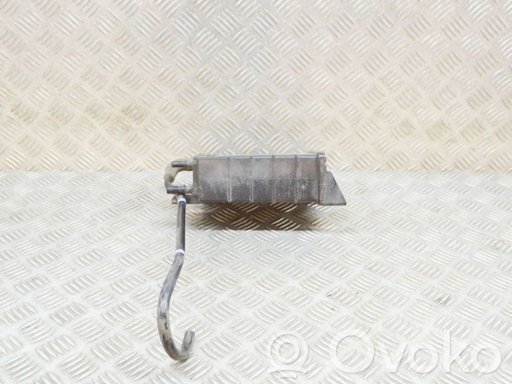Ford Fiesta Aktīvā oglekļa (degvielas tvaiku) filtrs 