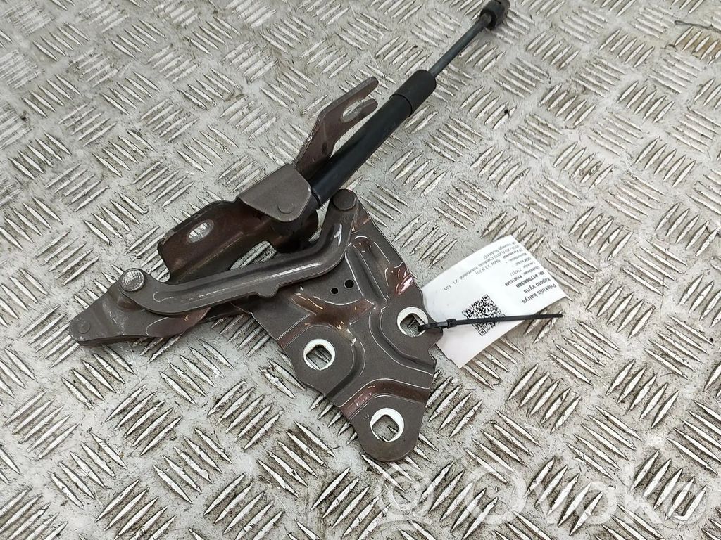 BMW X3 F25 Cerniere del vano motore/cofano 