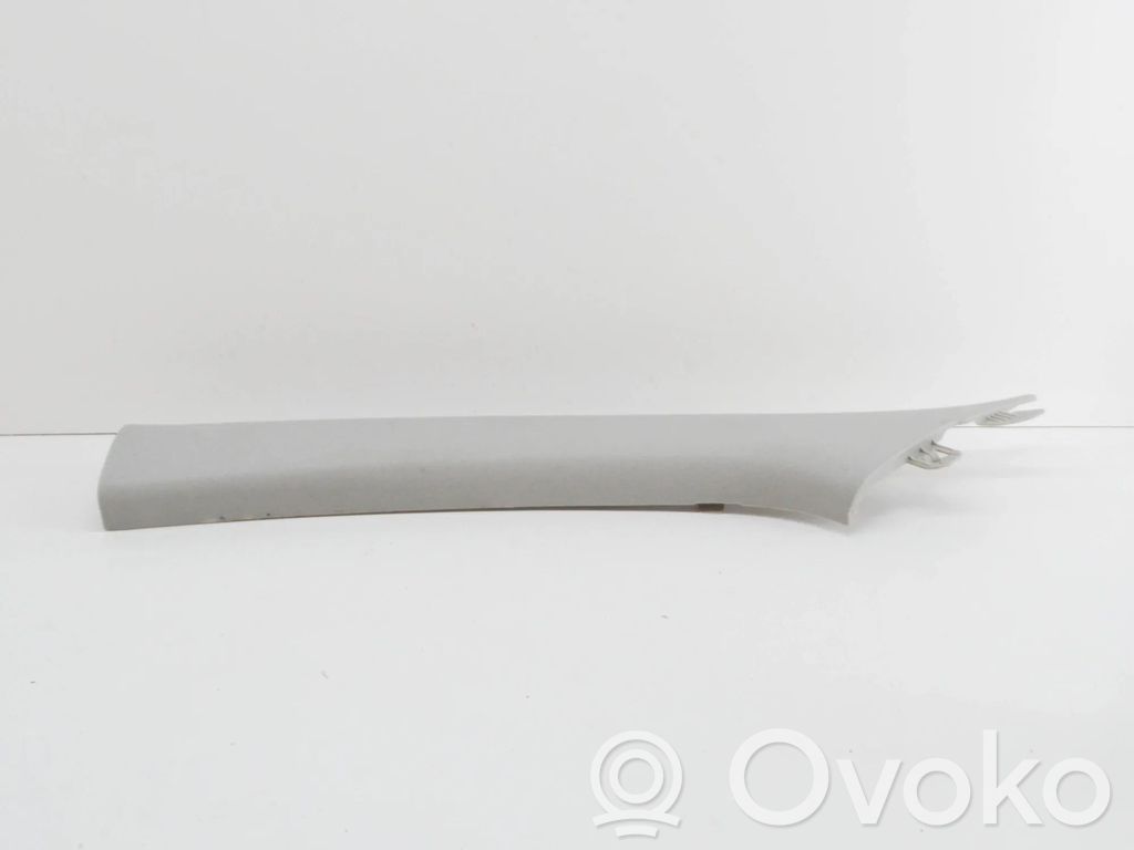 Pilar (A)   85810G5000