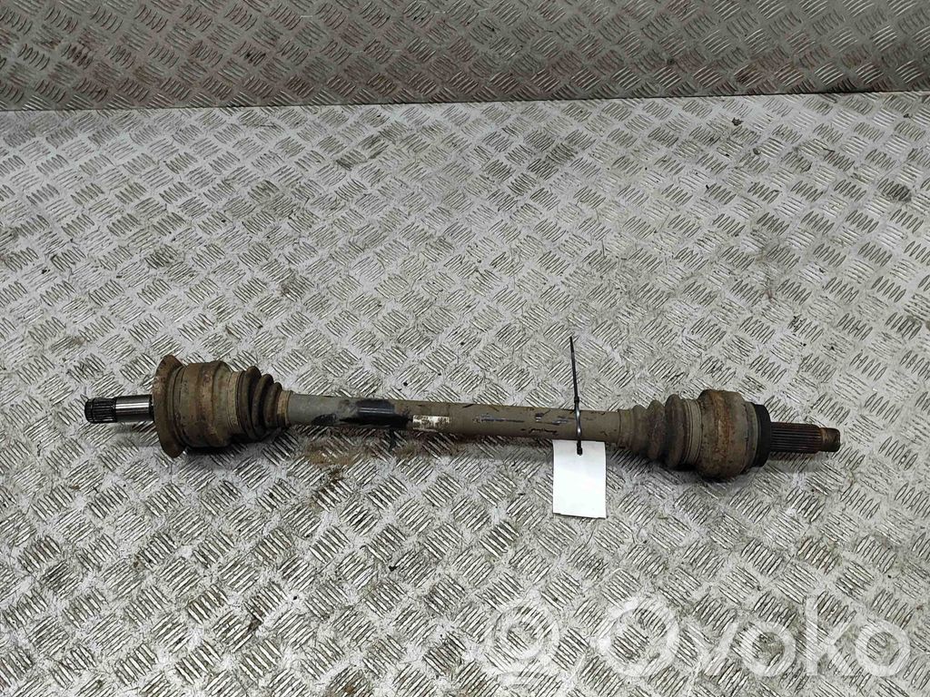 Galinis pusašis   7564127