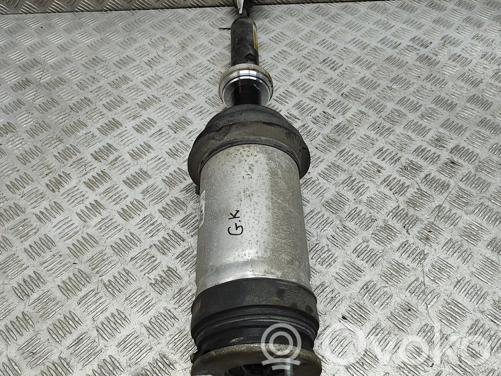 Stoßdämpfer Luftfederung   102746100E