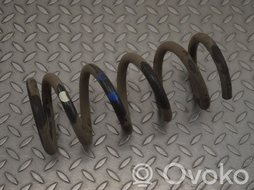 Muelle espiral trasero