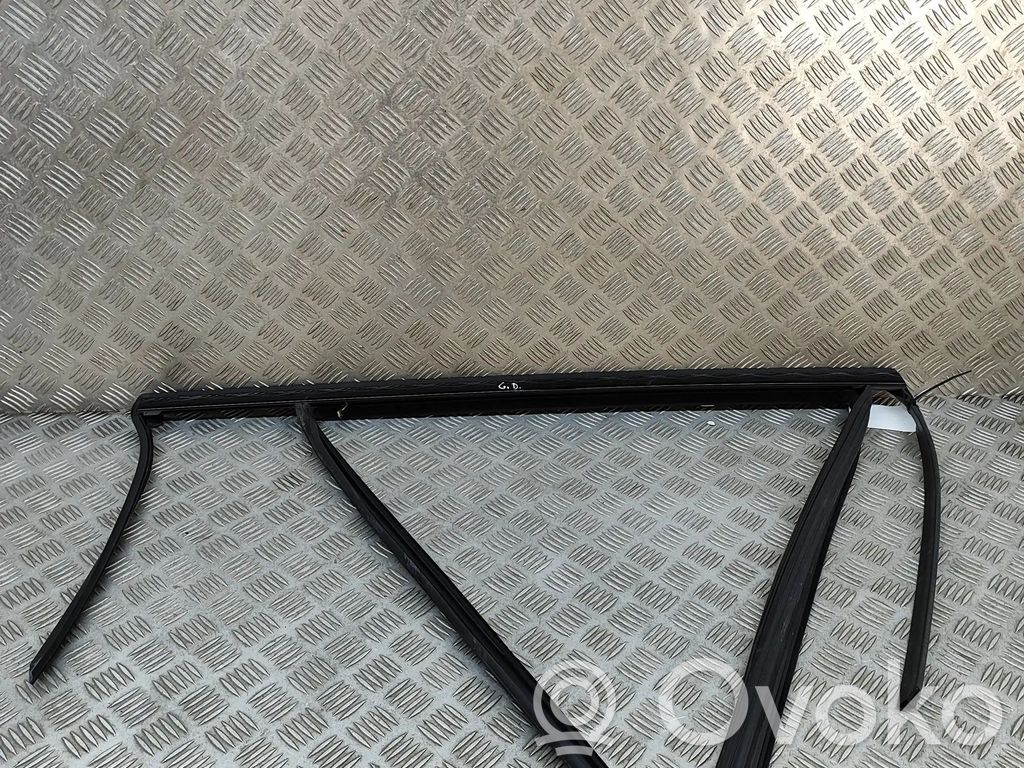 BMW X7 G07 Listwa / Uszczelka szyby drzwi tylnych 